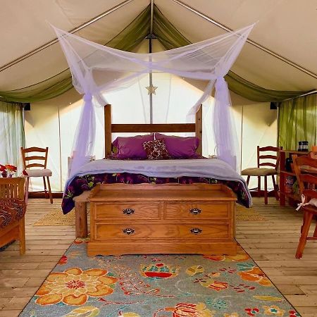 So Damn Lucky Glamping Hotel Ucluelet Buitenkant foto