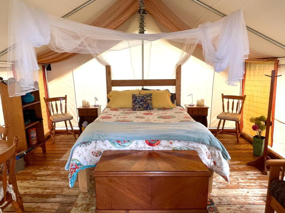 So Damn Lucky Glamping Hotel Ucluelet Buitenkant foto