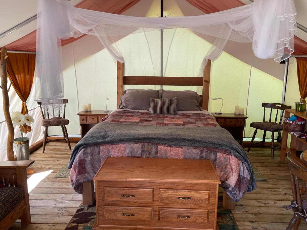 So Damn Lucky Glamping Hotel Ucluelet Buitenkant foto