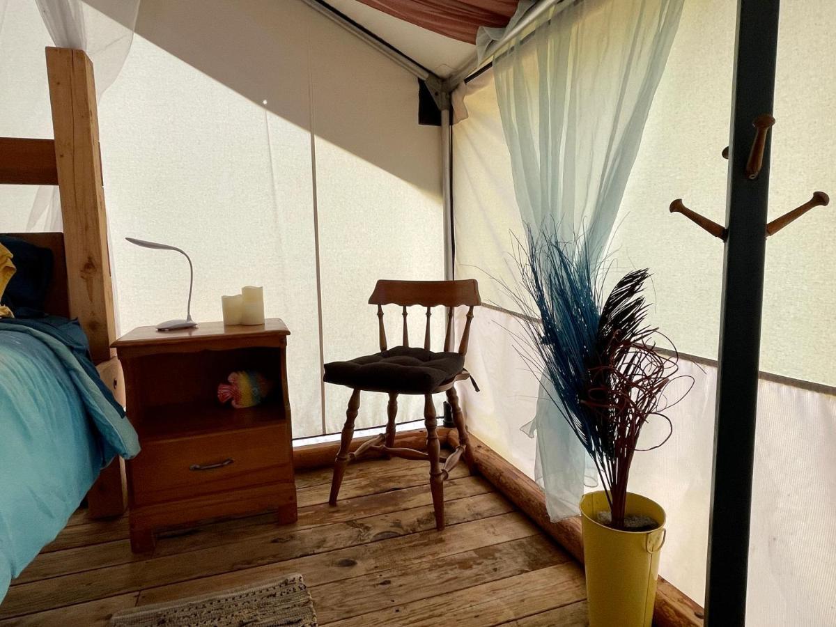 So Damn Lucky Glamping Hotel Ucluelet Buitenkant foto