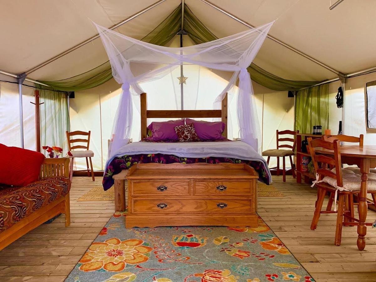 So Damn Lucky Glamping Hotel Ucluelet Buitenkant foto