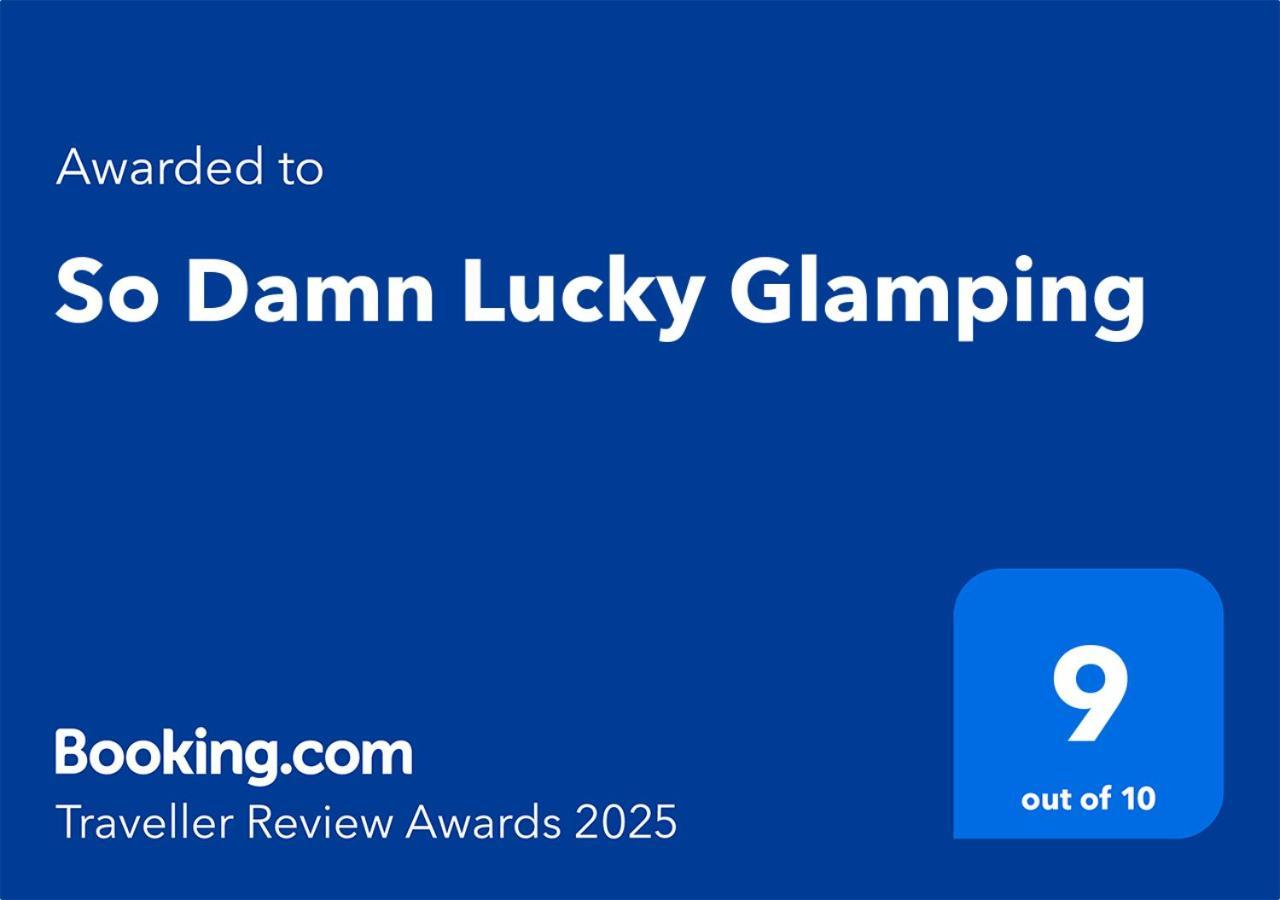 So Damn Lucky Glamping Hotel Ucluelet Buitenkant foto